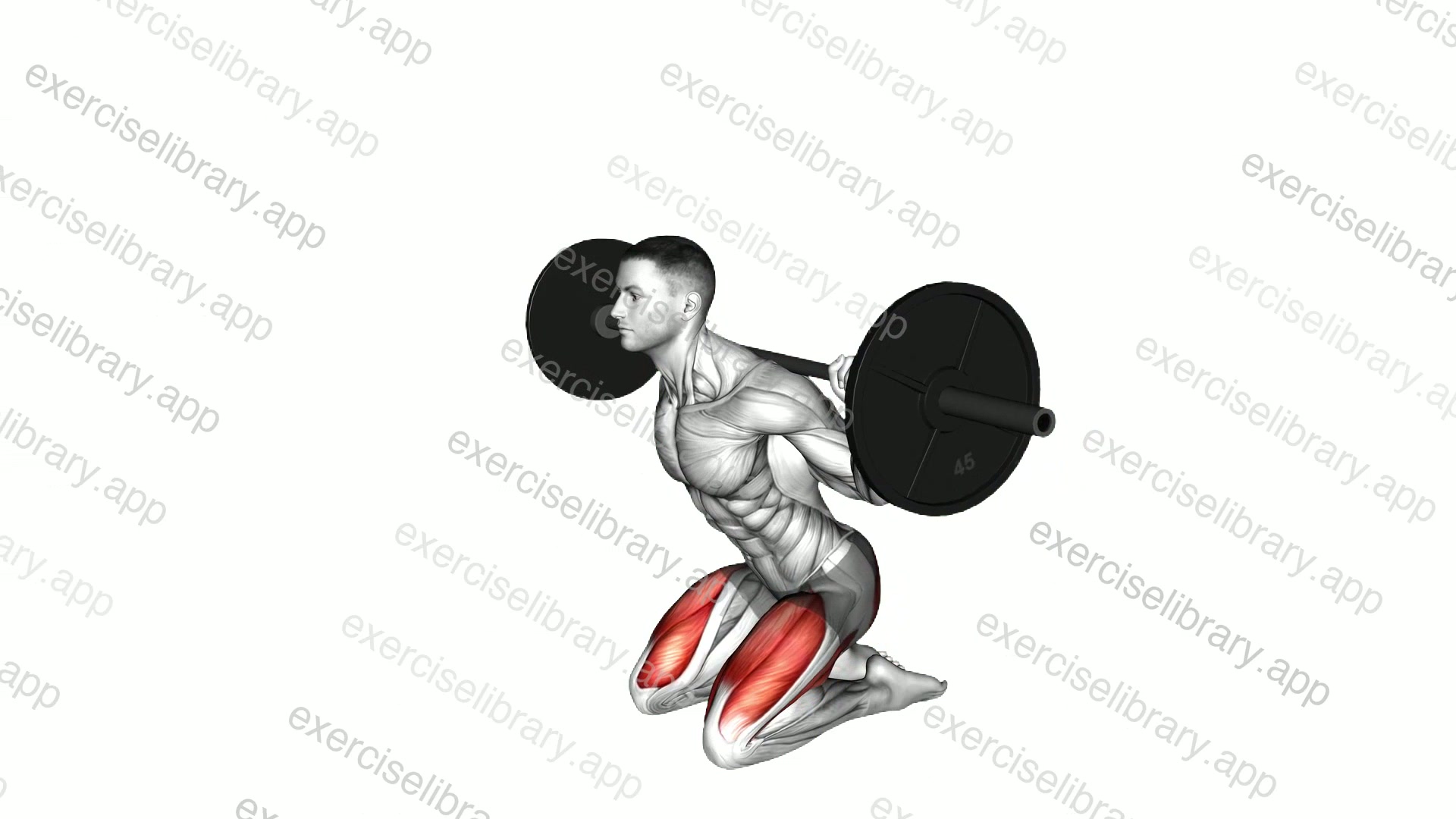 Barbell squat