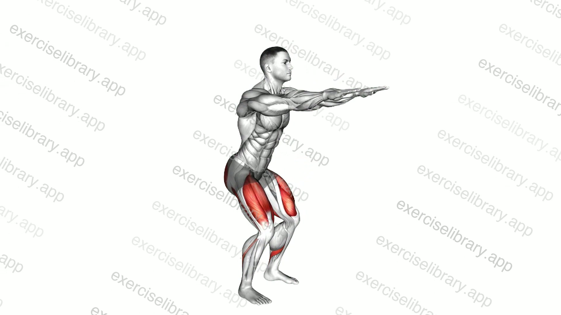 Bodyweight squat