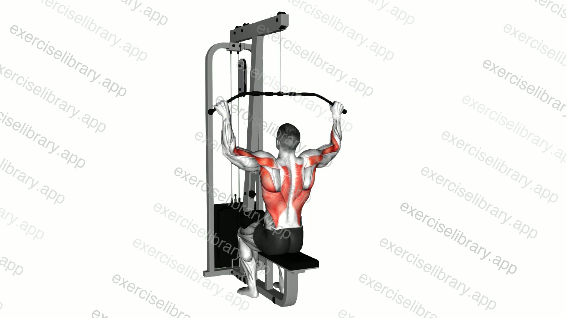 Lat pulldown