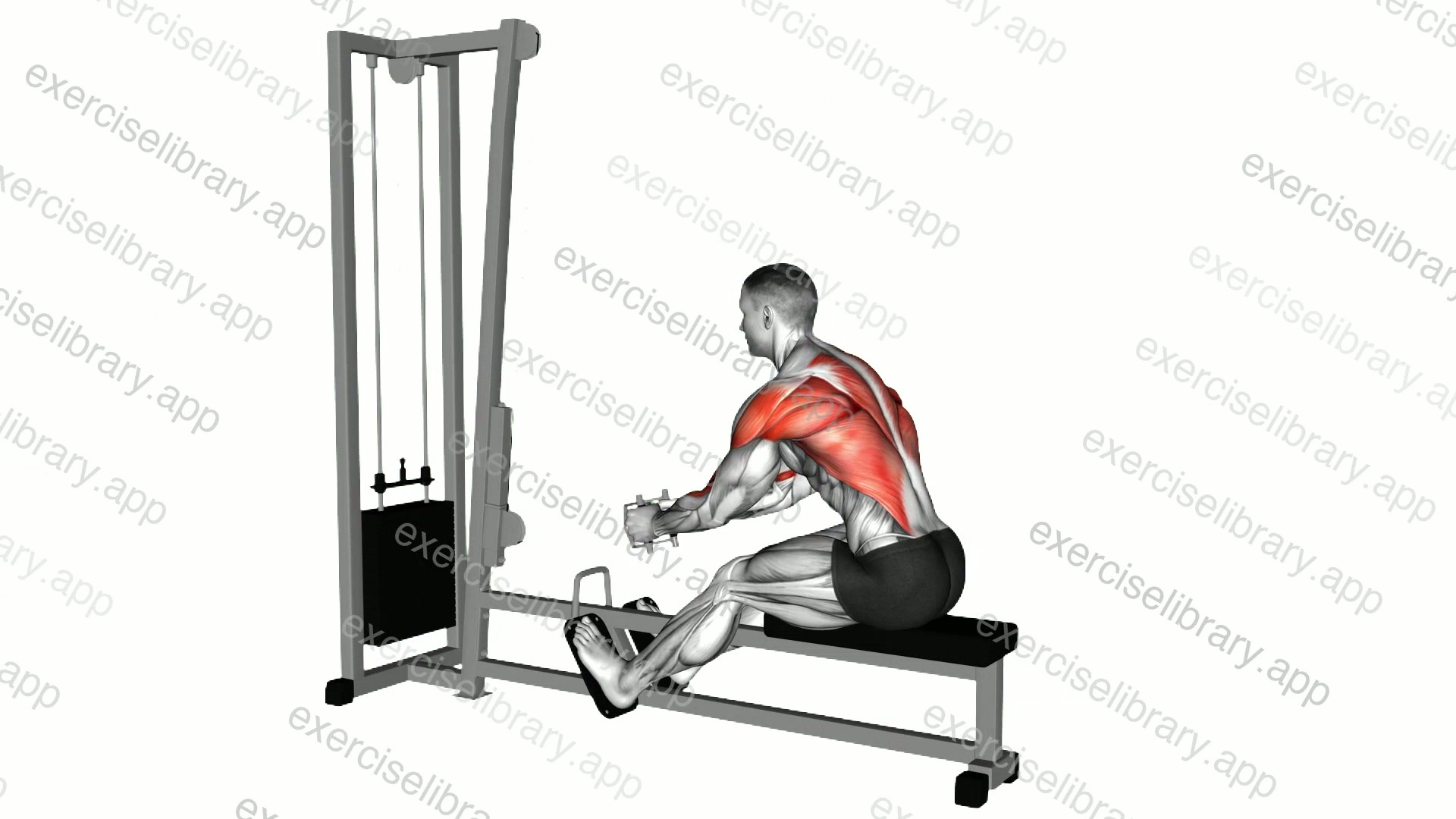 Seated cable row