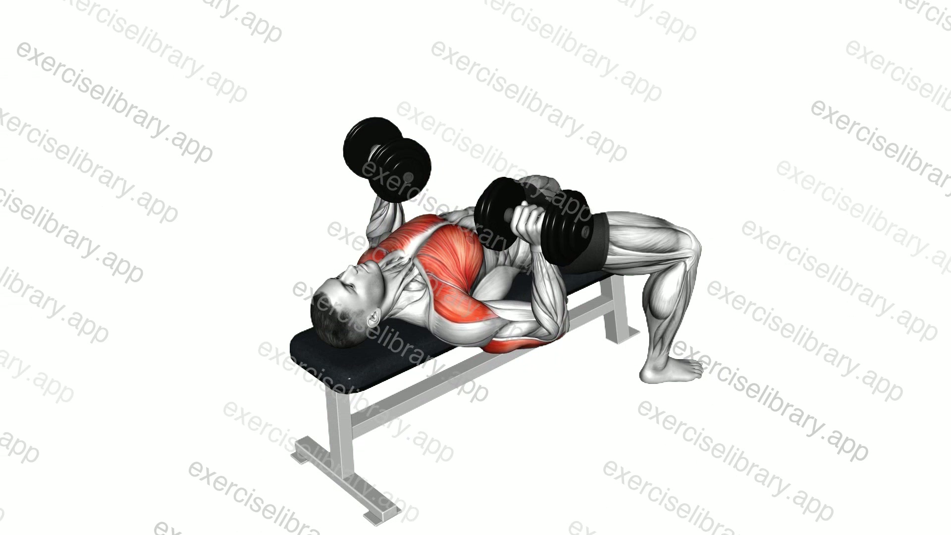 Dumbbell bench press