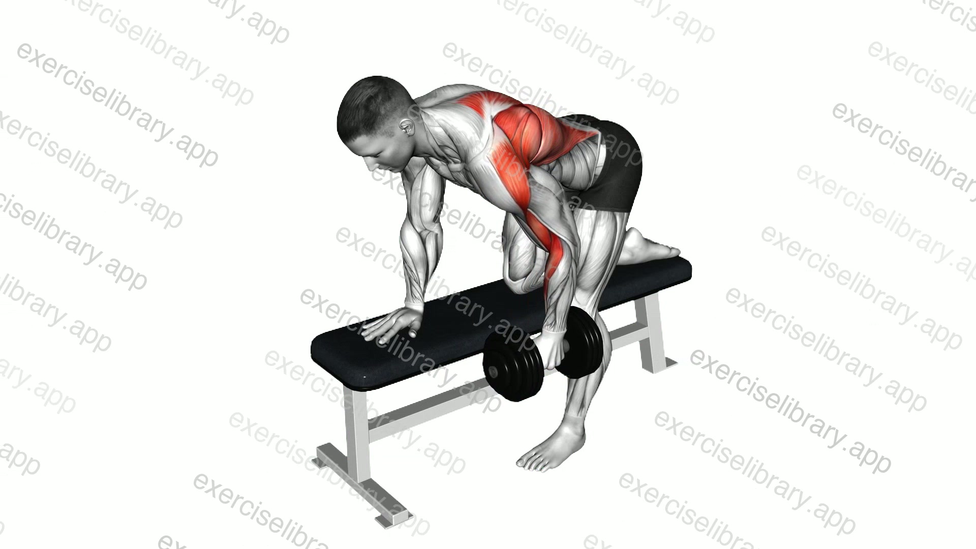 Dumbbell bent-over row