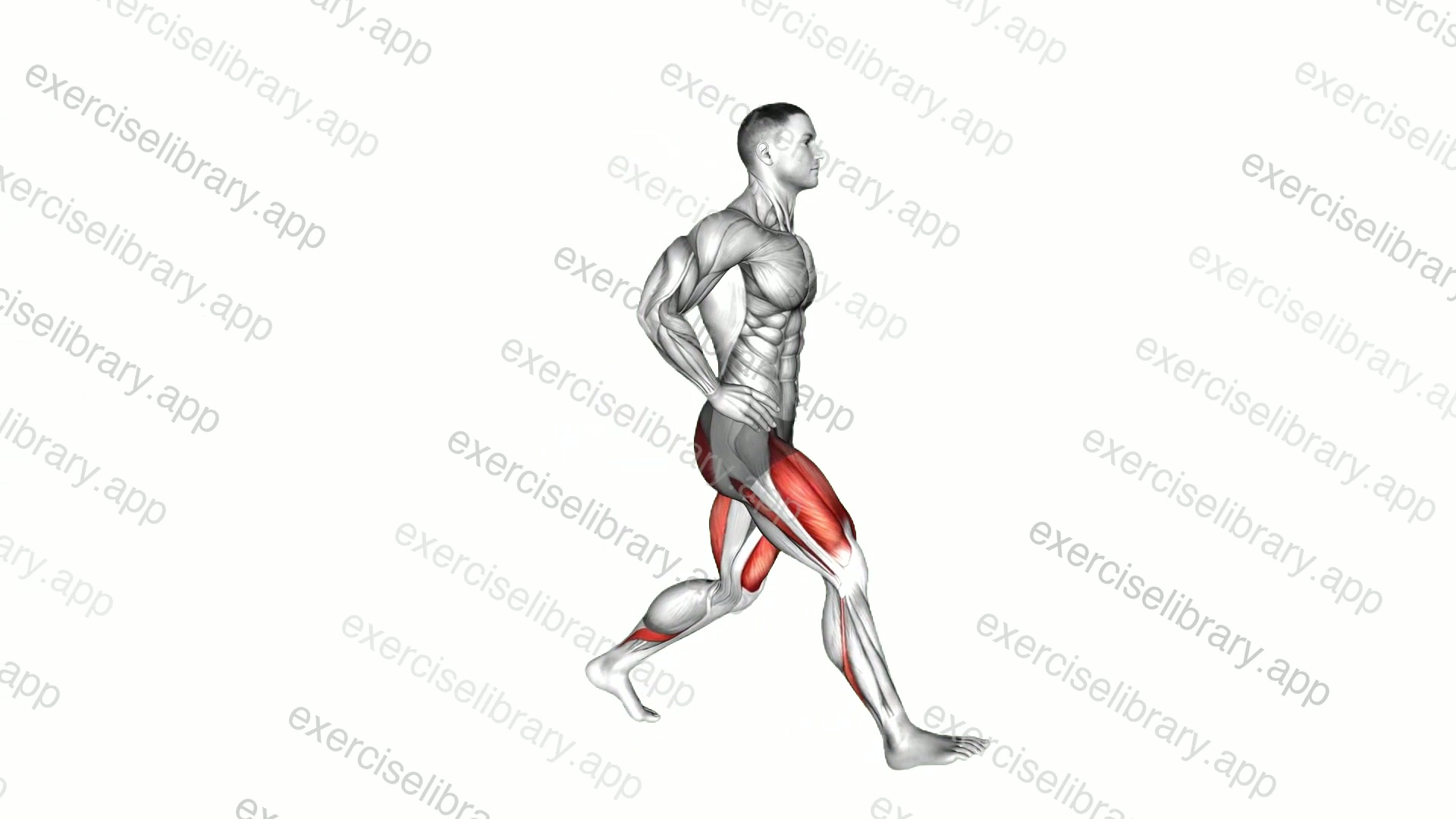 Forward lunge