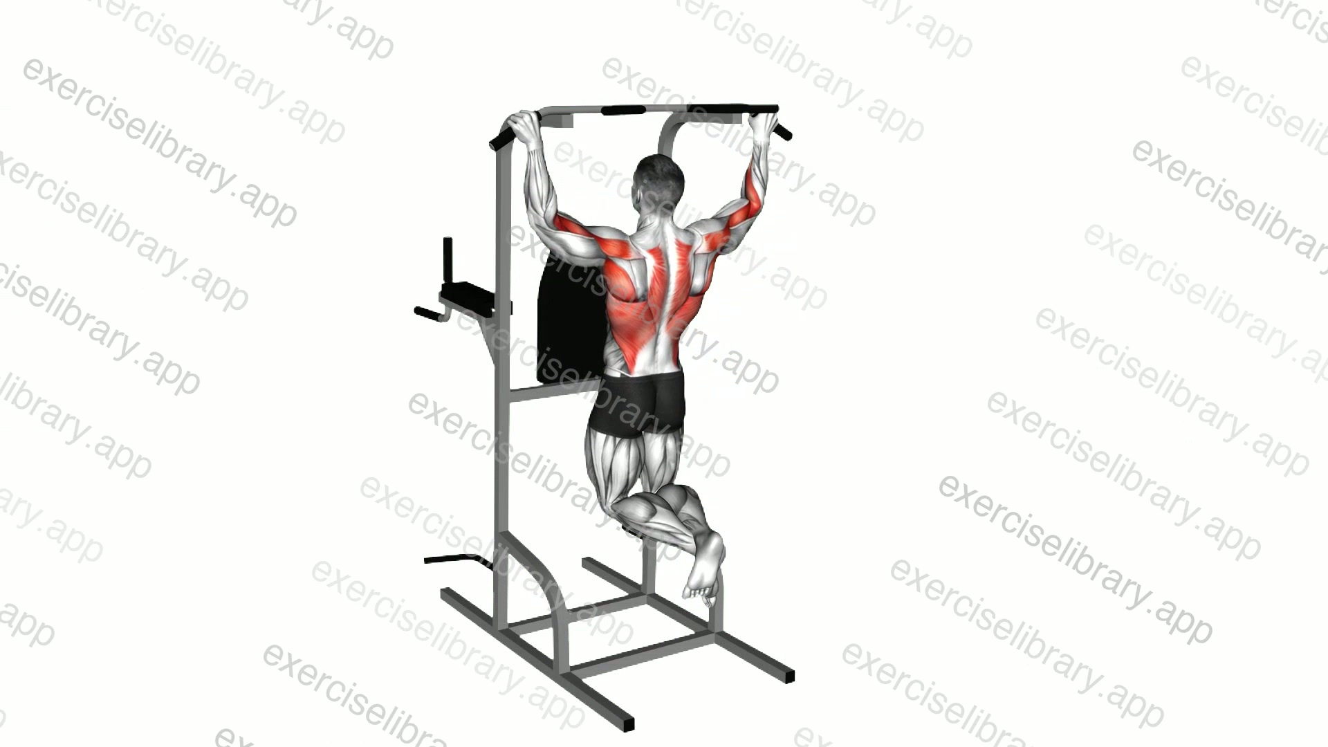 Pull-up