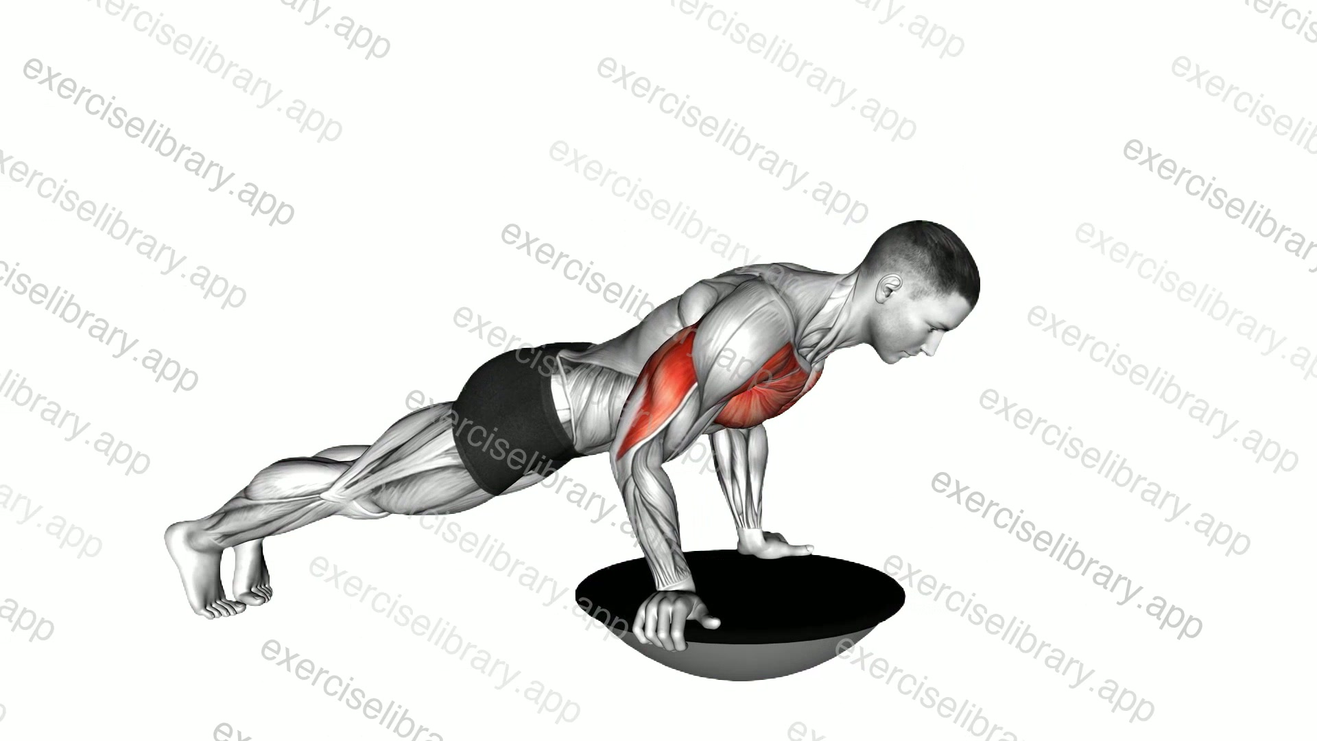 Push-up